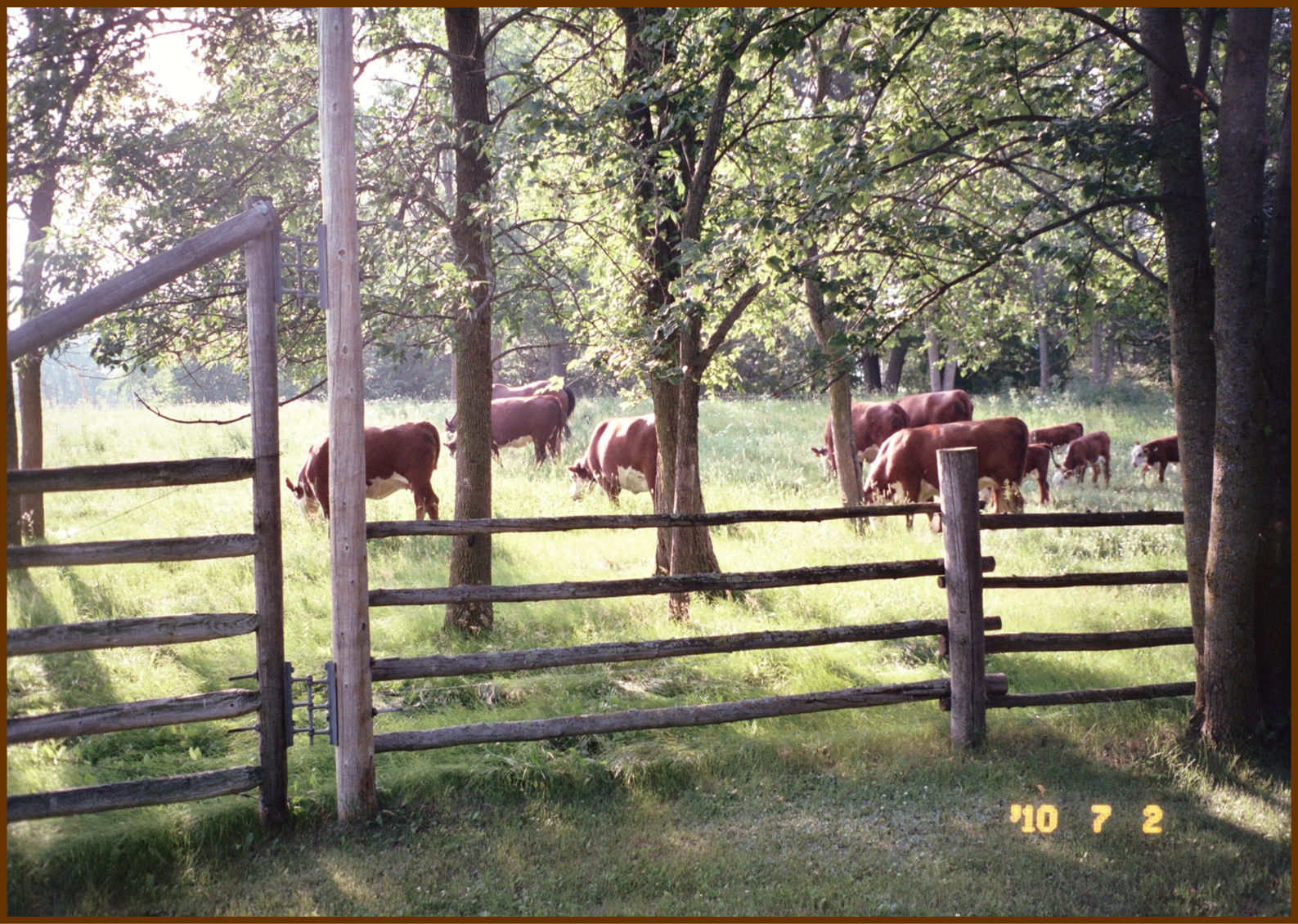 pasture