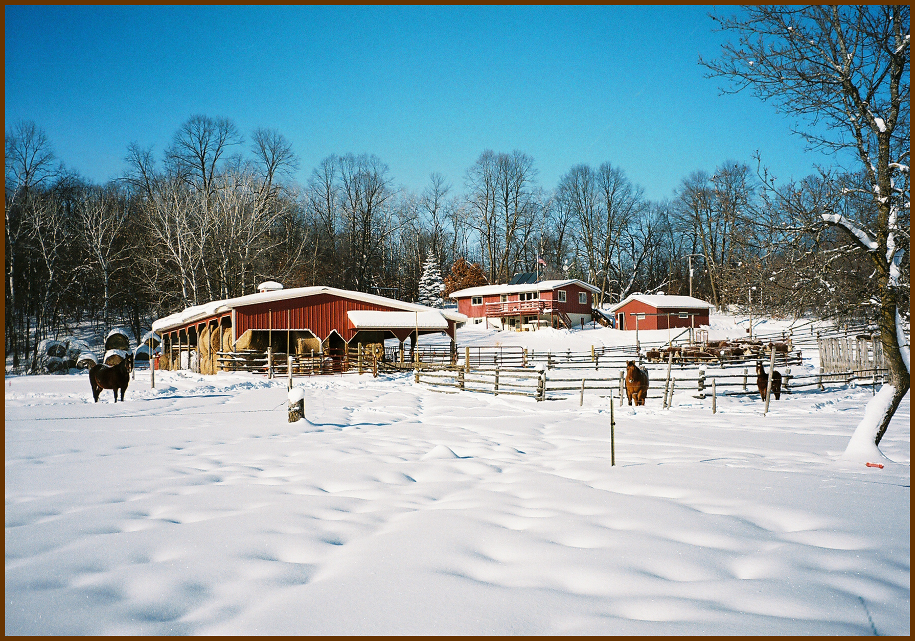 winter farm